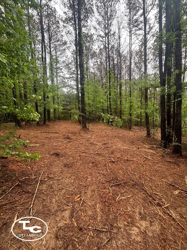 Tbd Jim Essary Road Northport AL 35475