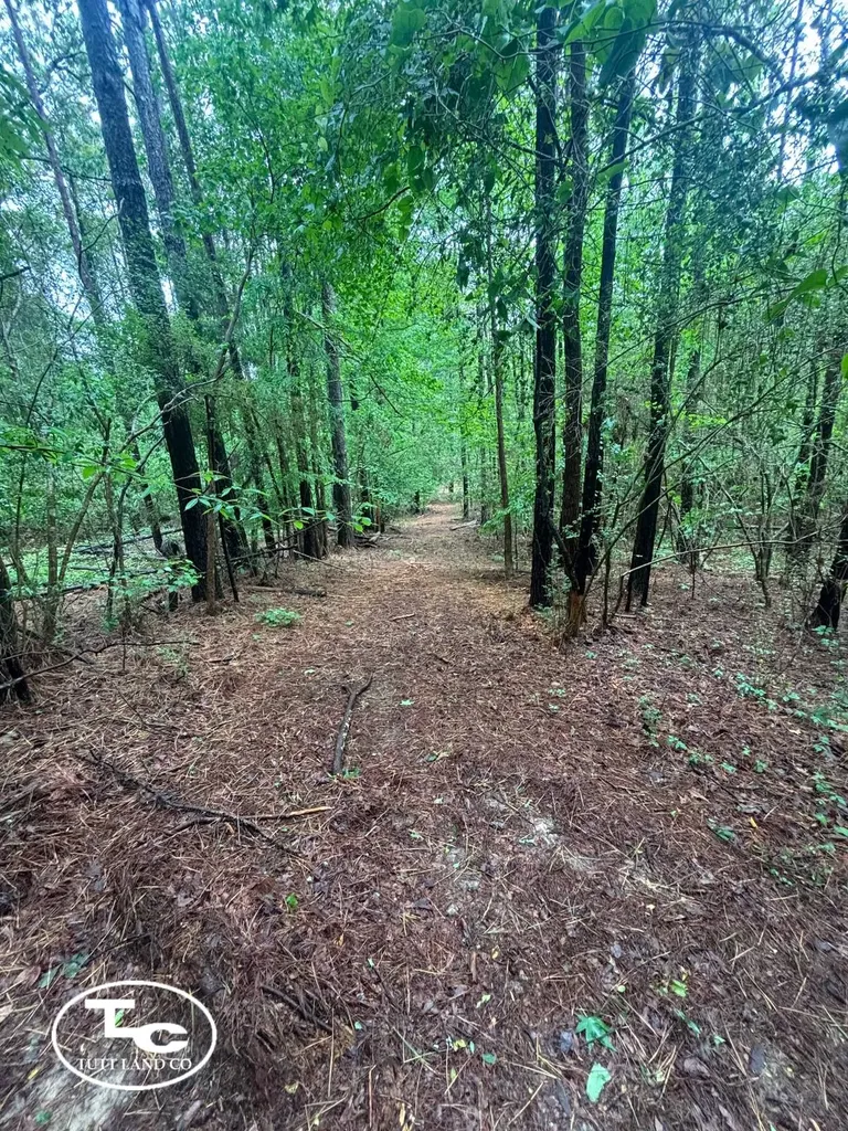 Tbd Jim Essary Road Northport AL 35475