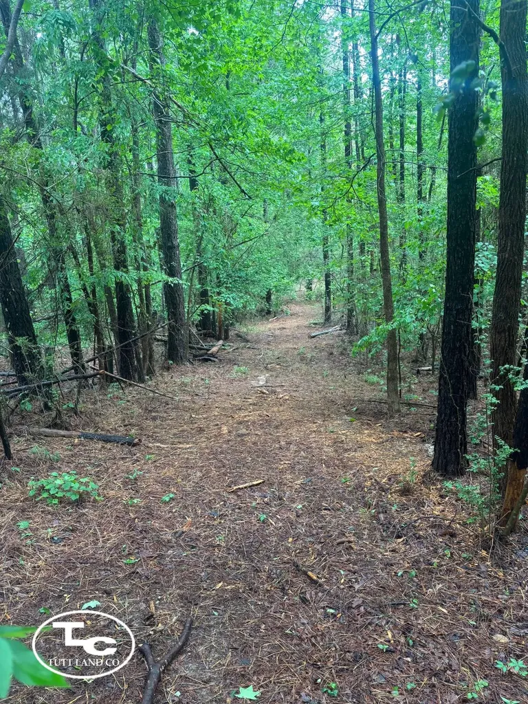 Tbd Jim Essary Road Northport AL 35475