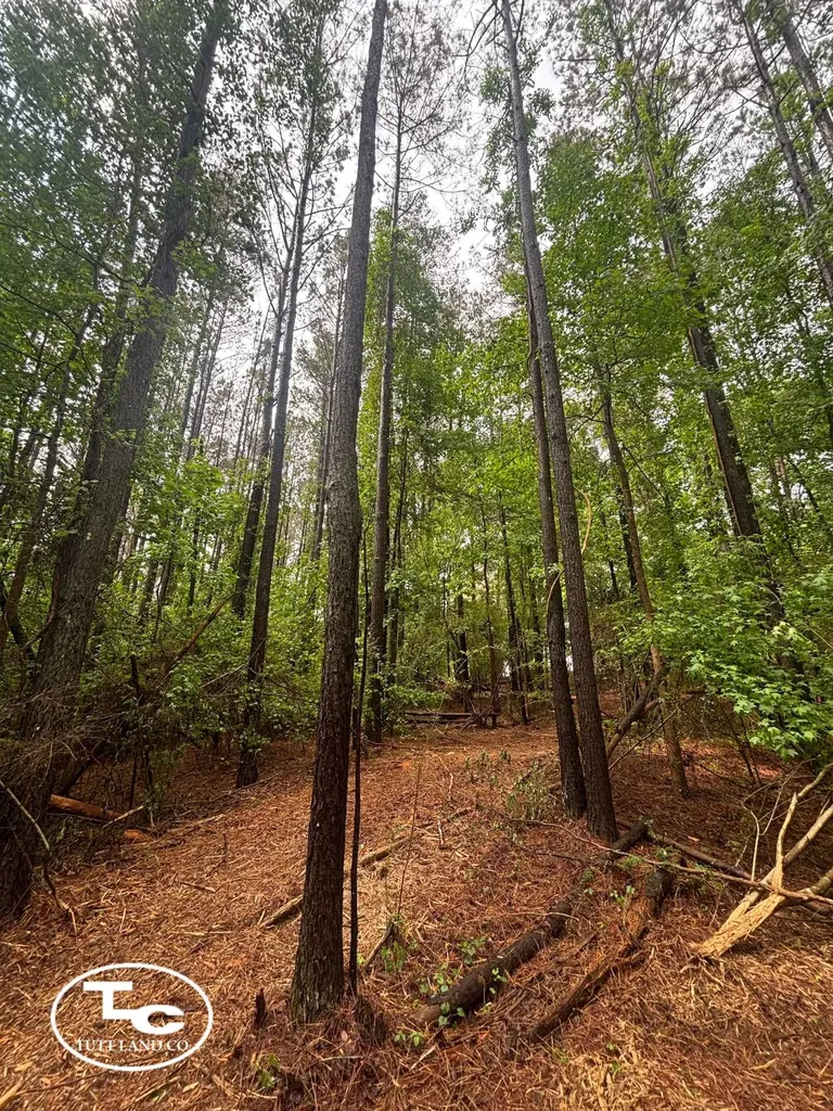 Tbd Jim Essary Road Northport AL 35475