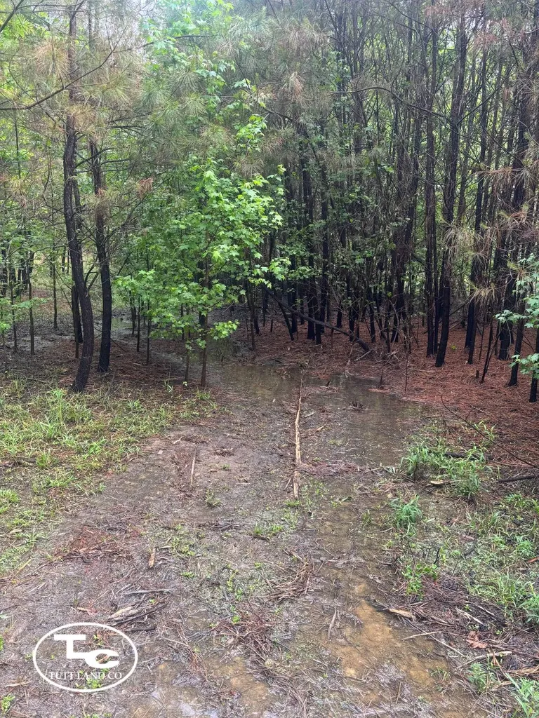 Tbd Jim Essary Road Northport AL 35475