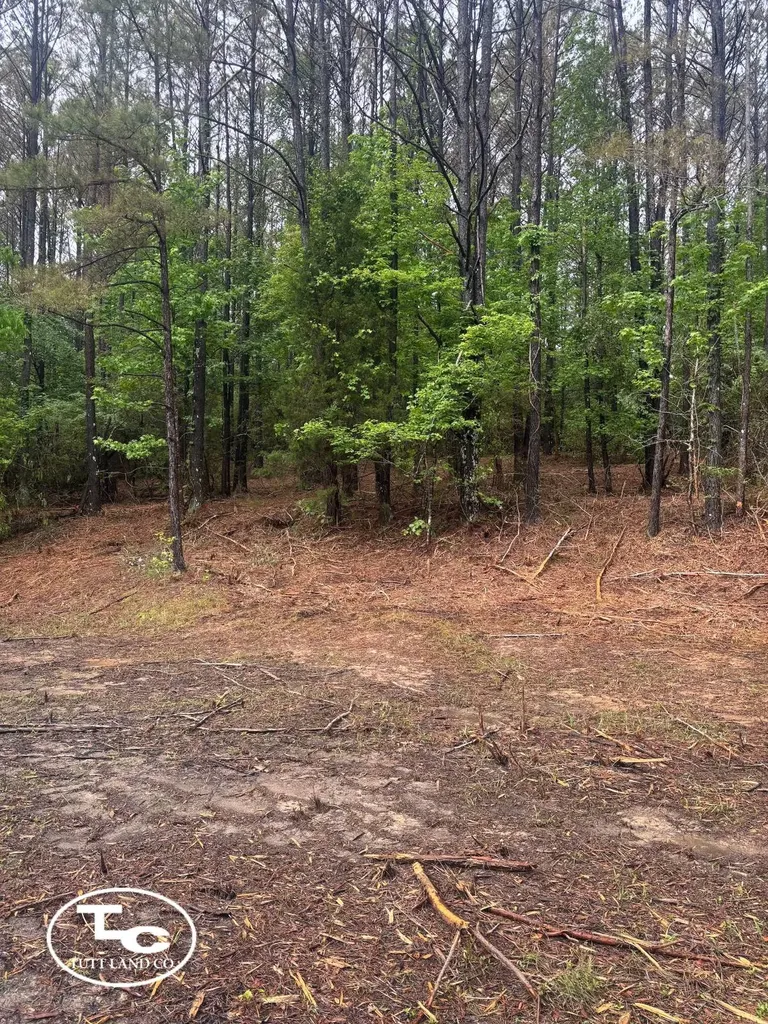 Tbd Jim Essary Road Northport AL 35475