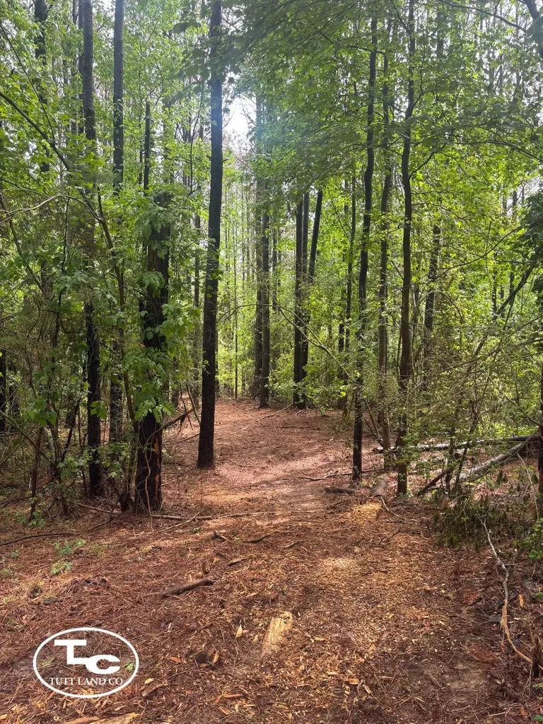 Tbd Jim Essary Road Northport AL 35475