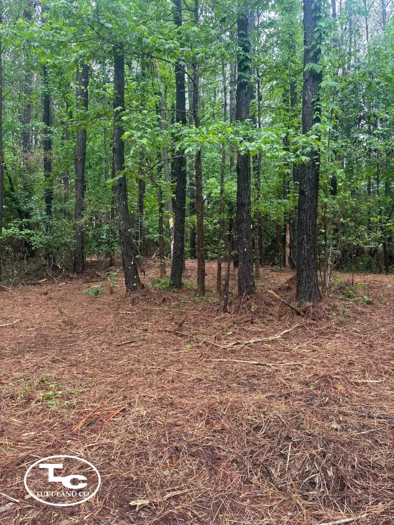 Tbd Jim Essary Road Northport AL 35475