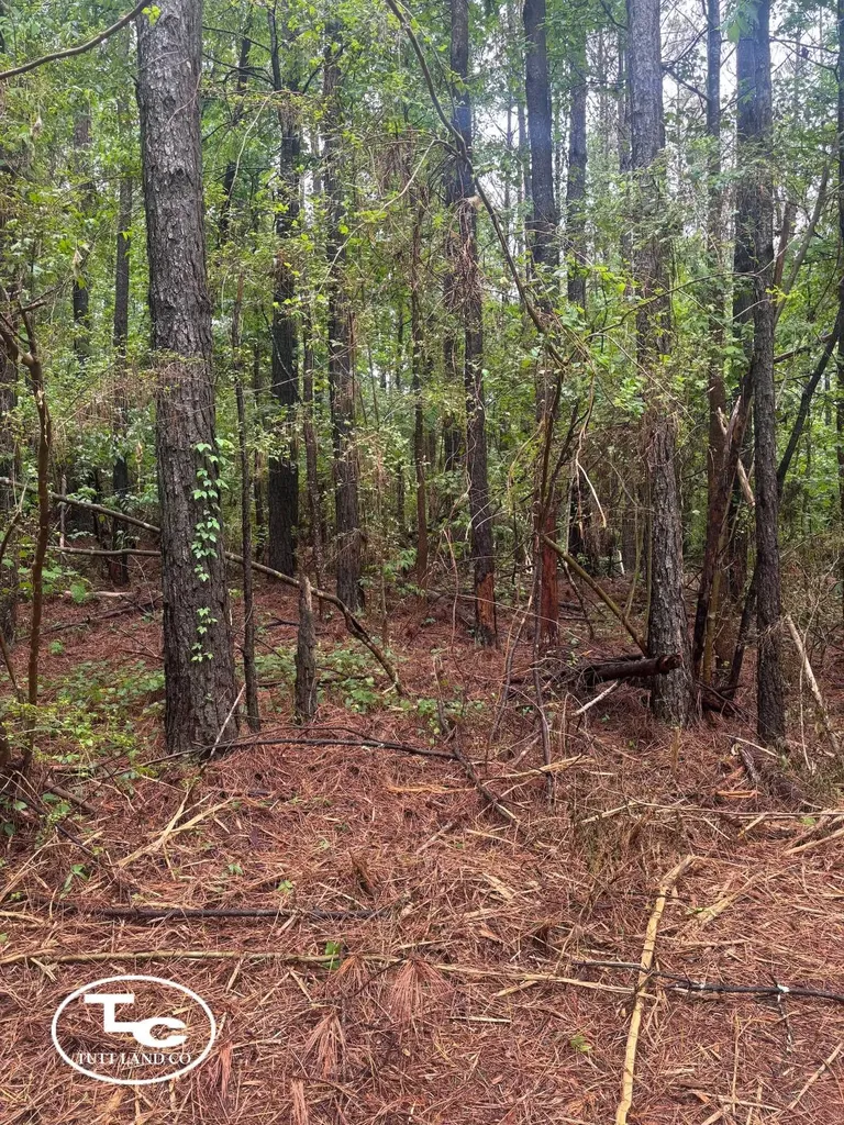 Tbd Jim Essary Road Northport AL 35475