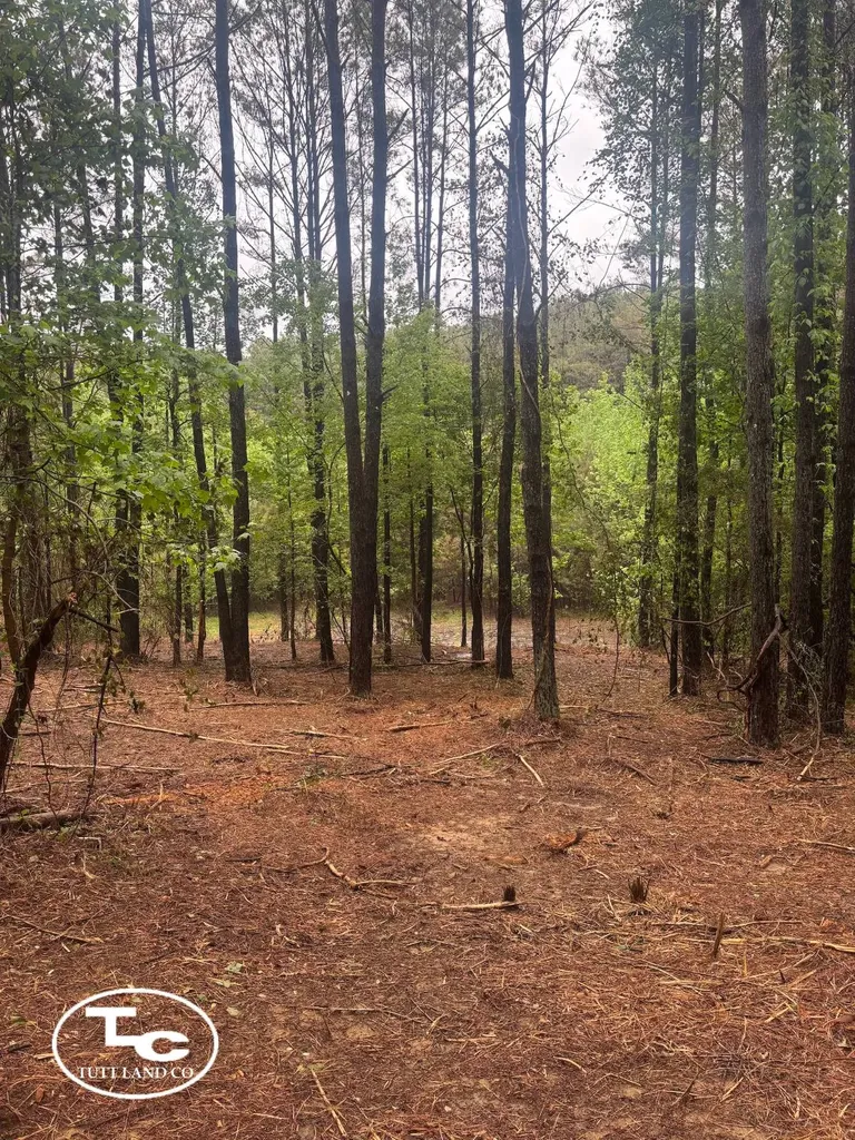 Tbd Jim Essary Road Northport AL 35475