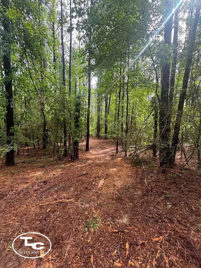 Tbd Jim Essary Road Northport AL 35475