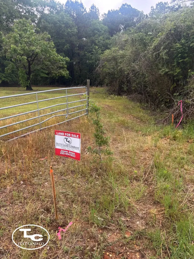 Tbd Jim Essary Road Northport AL 35475
