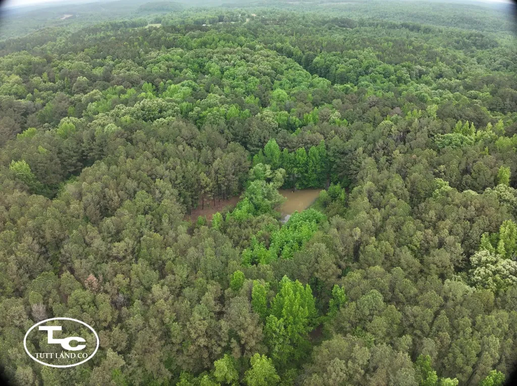 Tbd Jim Essary Road Northport AL 35475