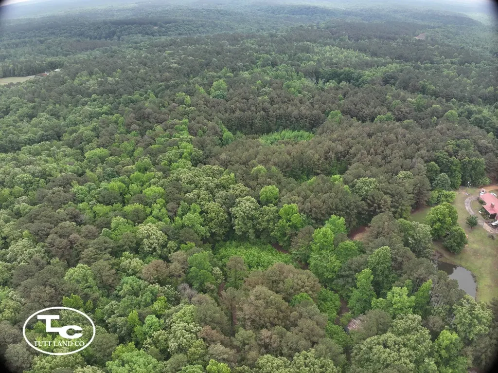Tbd Jim Essary Road Northport AL 35475