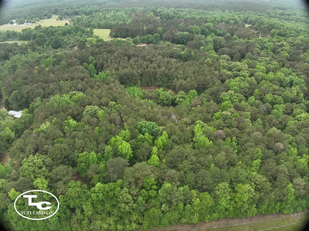 Tbd Jim Essary Road Northport AL 35475