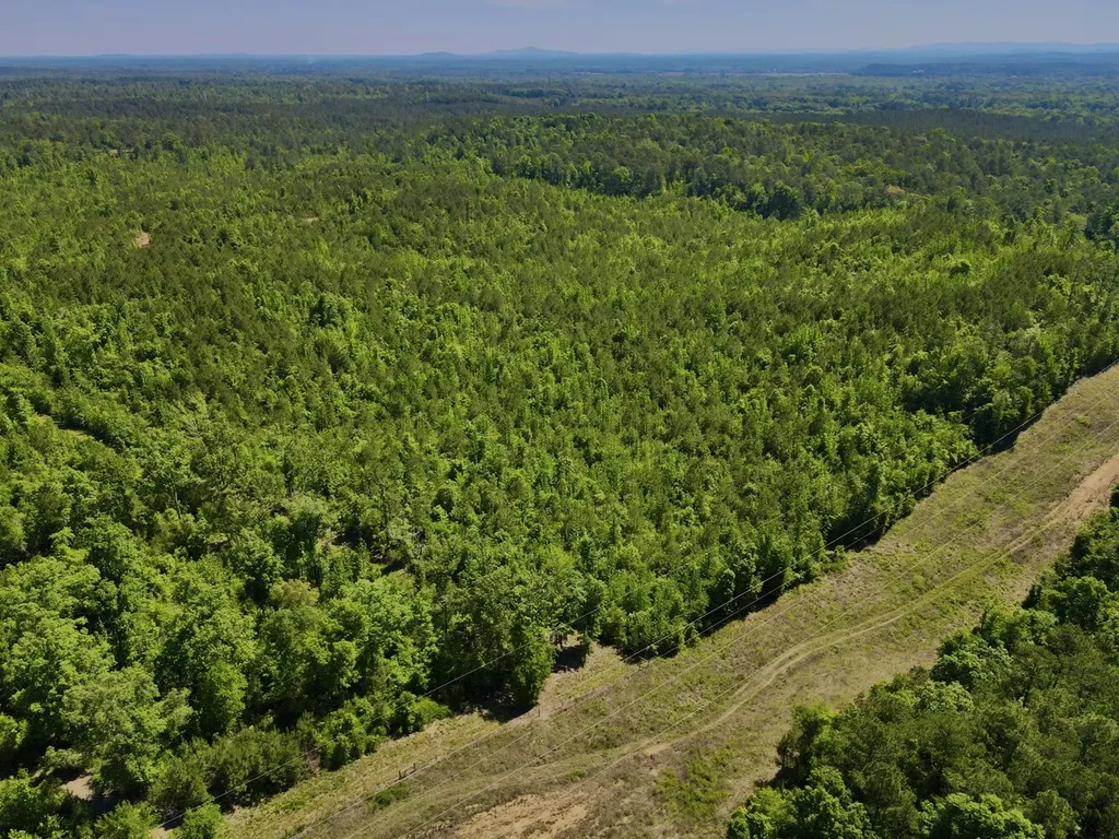 001 Hwy 61 B Wilsonville AL 35186