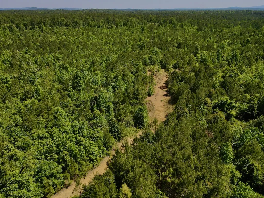 001 Hwy 61 B Wilsonville AL 35186