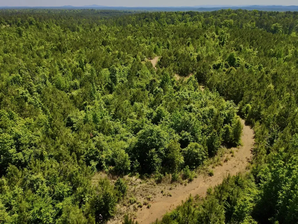 001 Hwy 61 B Wilsonville AL 35186