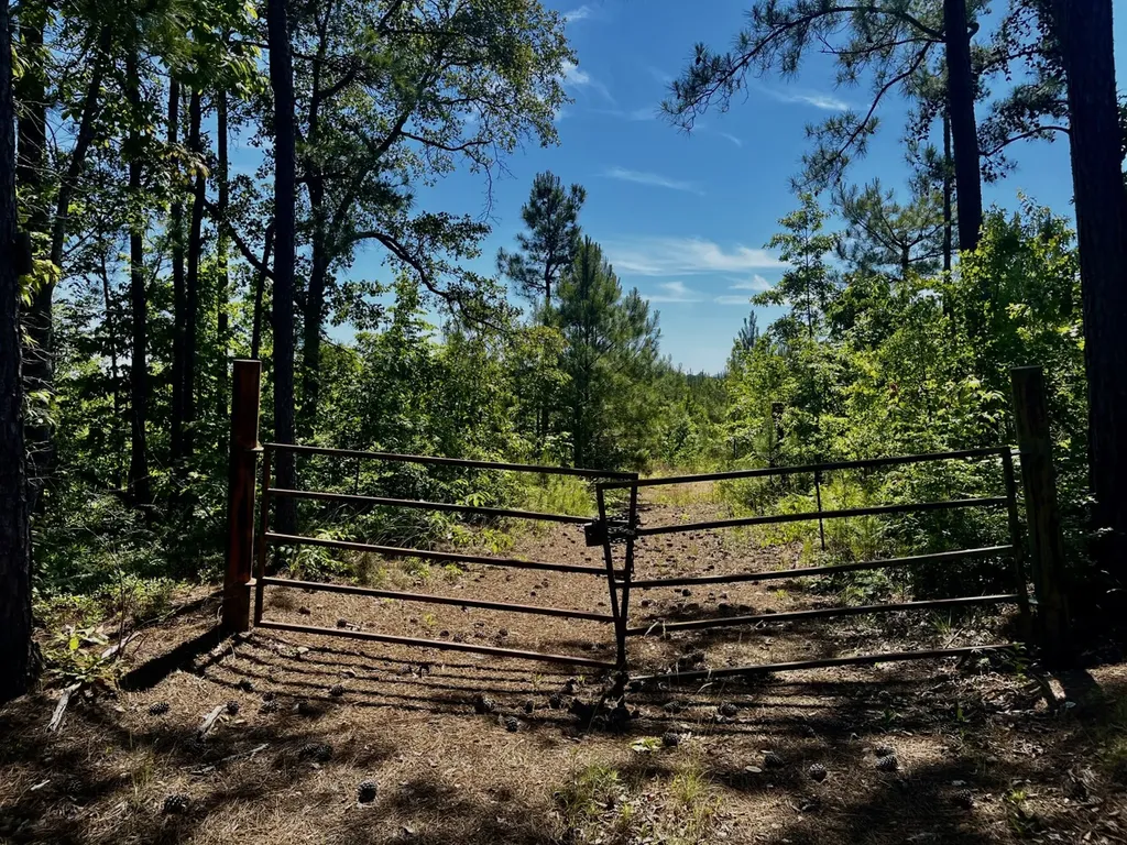 001 Hwy 61 B Wilsonville AL 35186