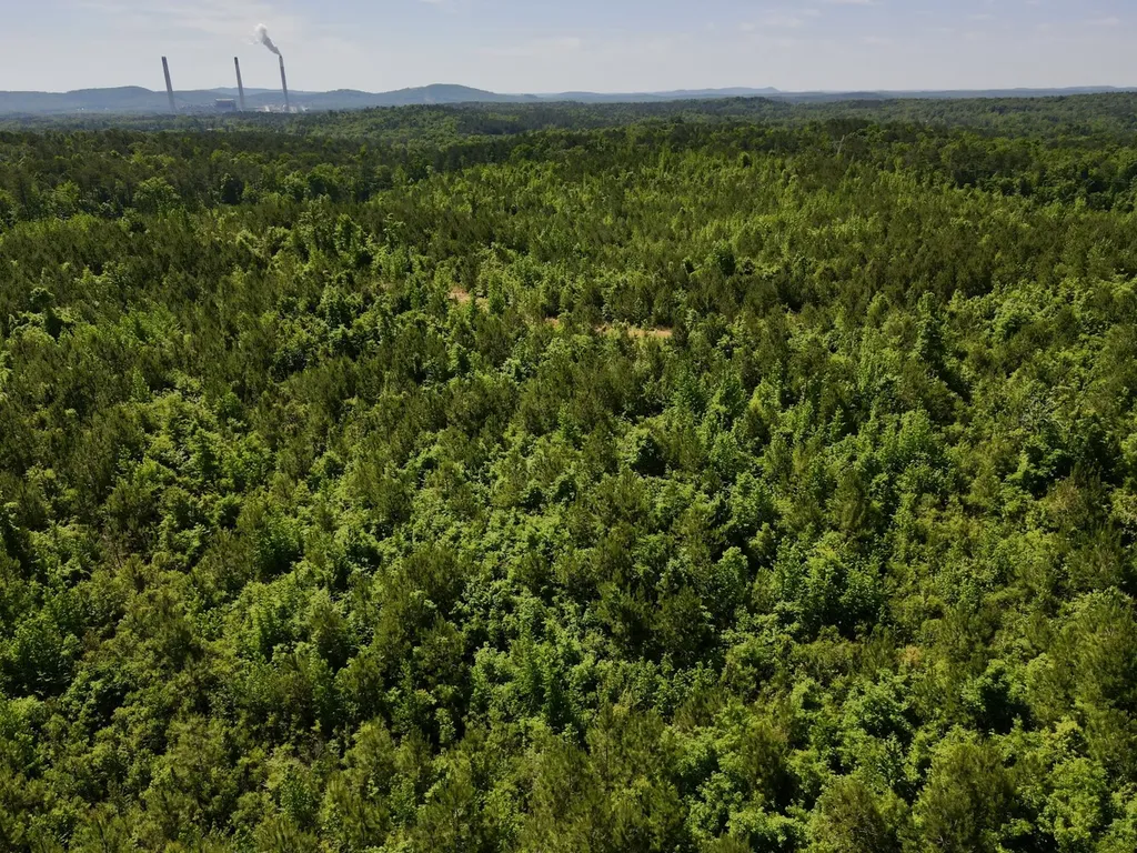 001 Hwy 61 B Wilsonville AL 35186
