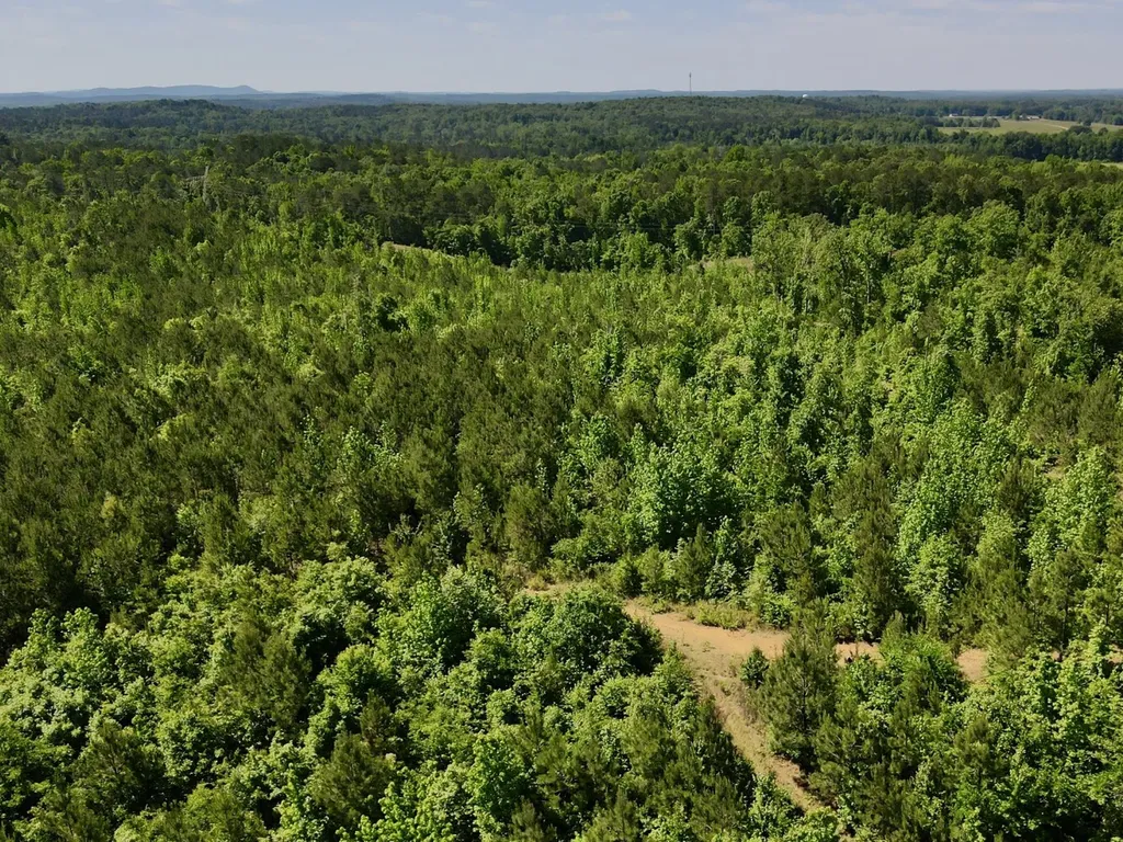 001 Hwy 61 B Wilsonville AL 35186