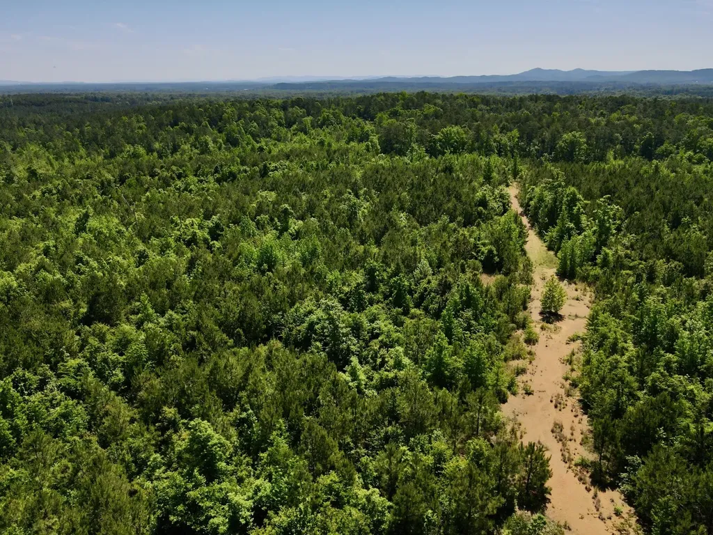 001 Hwy 61 B Wilsonville AL 35186