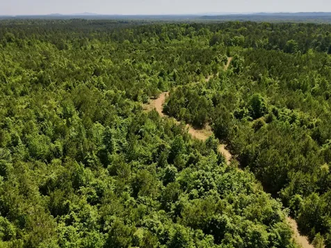 001 Hwy 61 B Wilsonville AL 35186