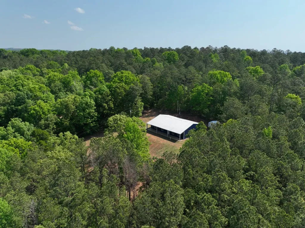 11485 County Road 82 Newell AL 36280