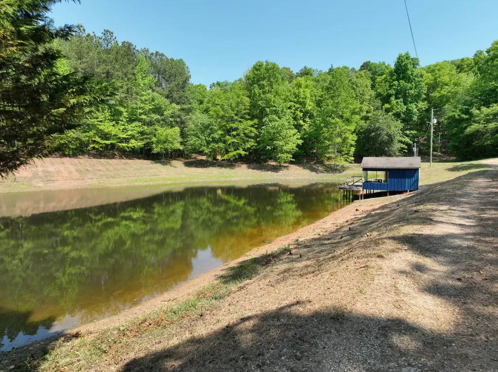 11485 County Road 82 Newell AL 36280