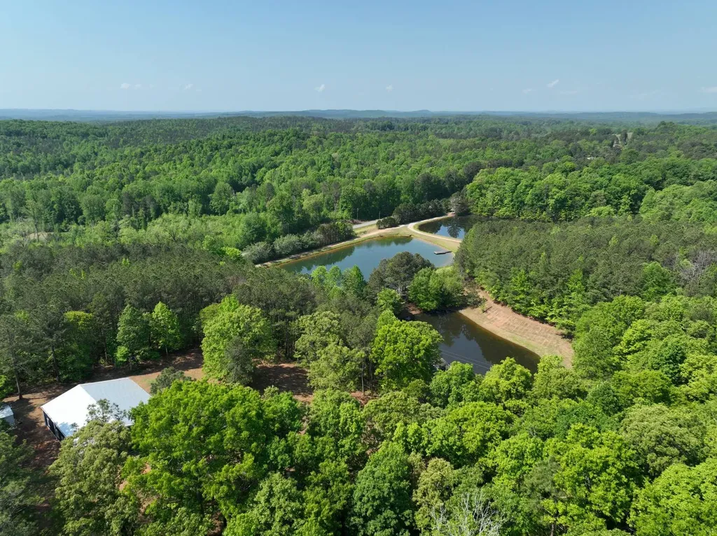 11485 County Road 82 Newell AL 36280