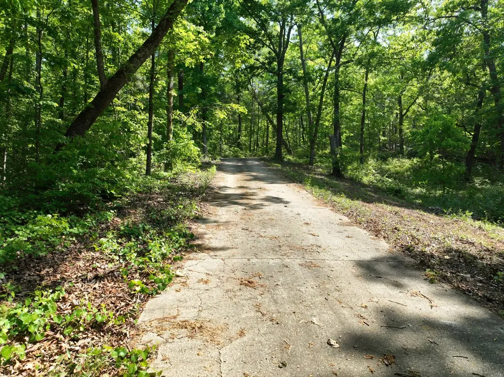 11485 County Road 82 Newell AL 36280