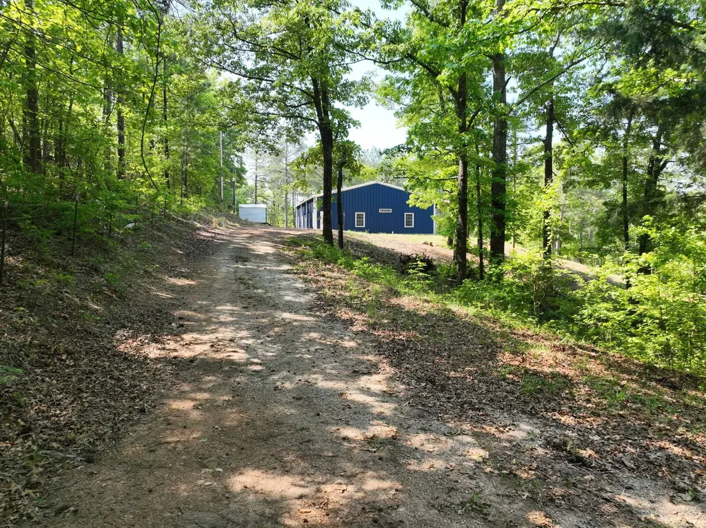 11485 County Road 82 Newell AL 36280