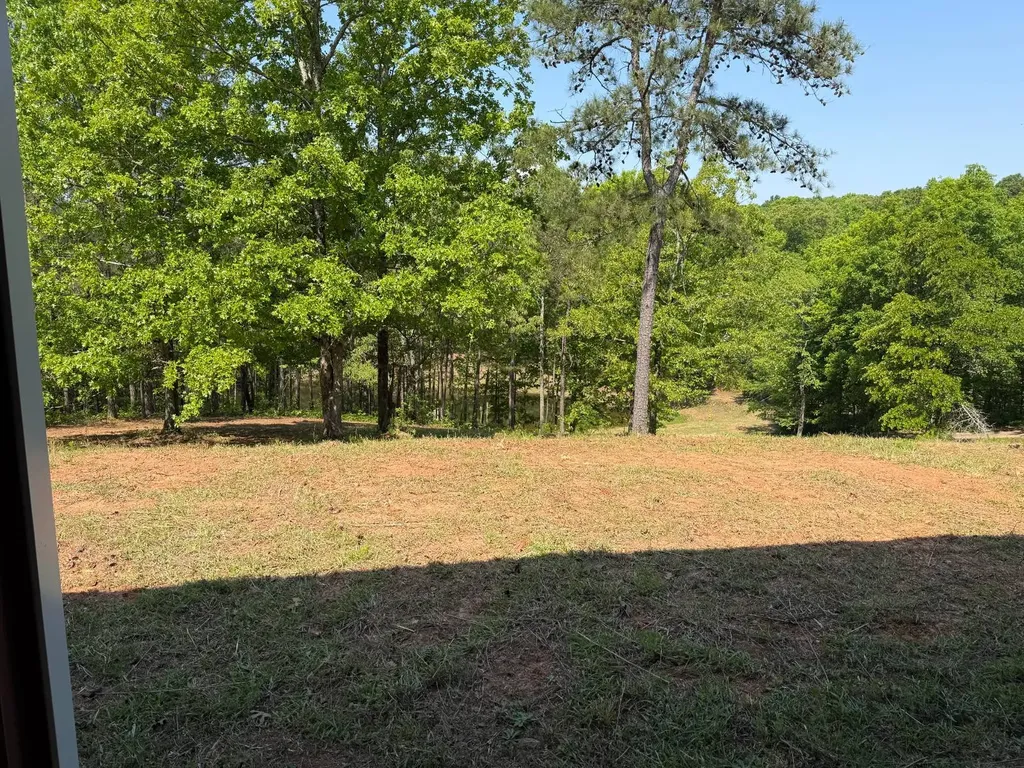 11485 County Road 82 Newell AL 36280