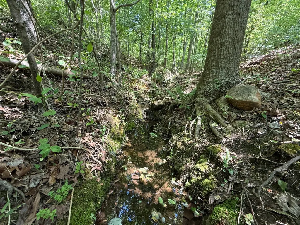 11485 County Road 82 Newell AL 36280