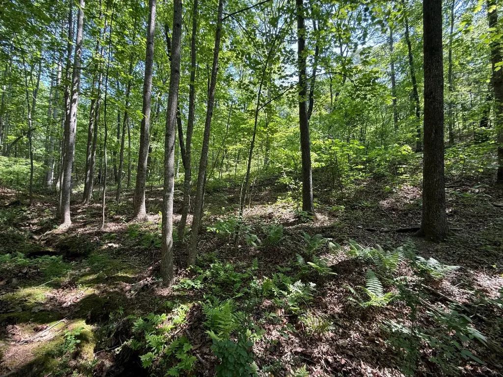 11485 County Road 82 Newell AL 36280
