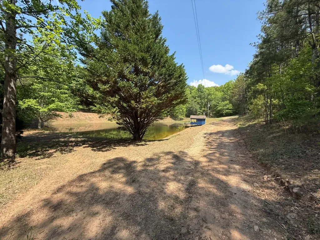 11485 County Road 82 Newell AL 36280