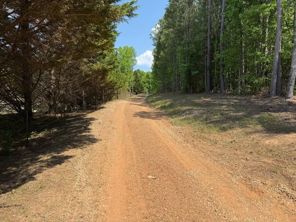 11485 County Road 82 Newell AL 36280