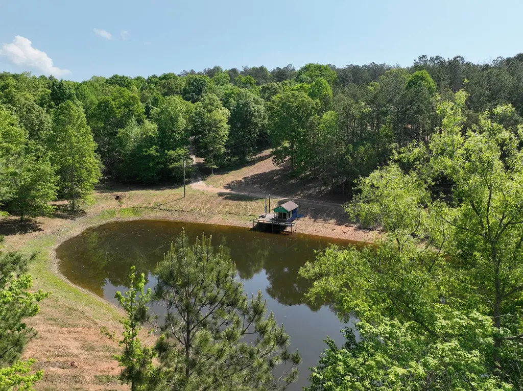 11485 County Road 82 Newell AL 36280
