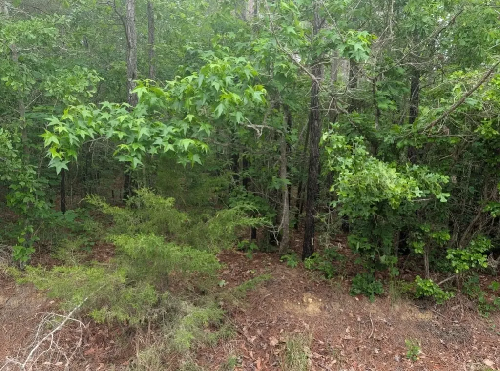 0 Pope Road Ohatchee AL 36271