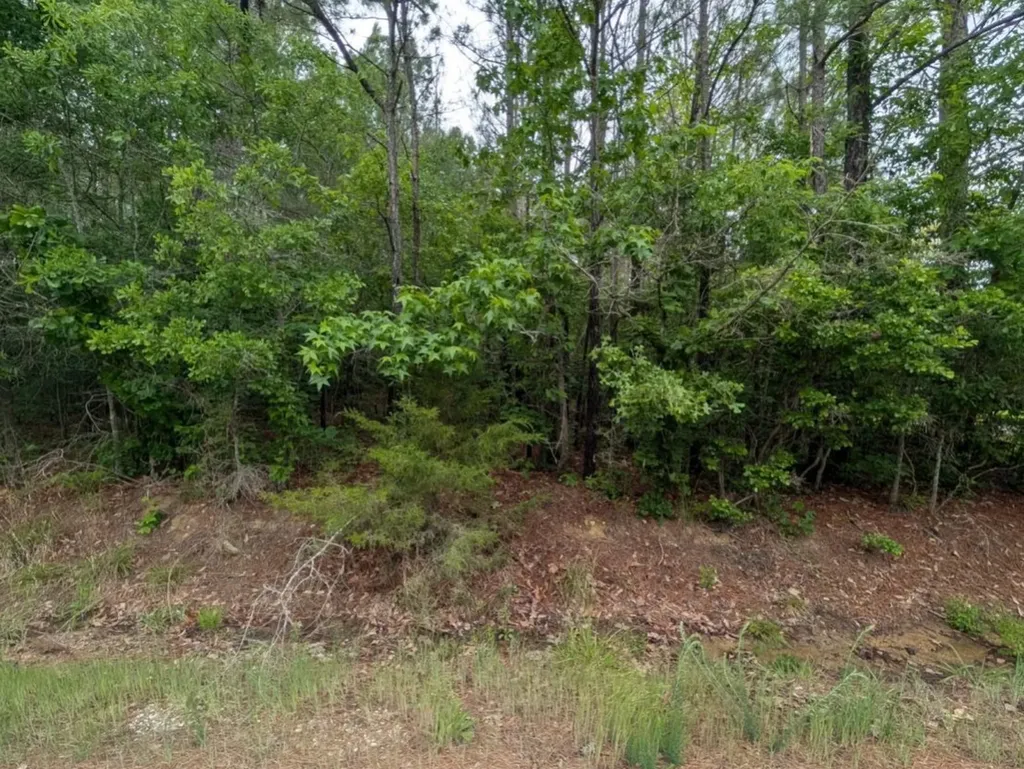 0 Pope Road Ohatchee AL 36271