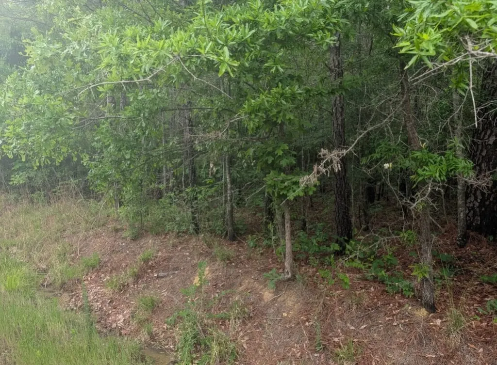0 Pope Road Ohatchee AL 36271