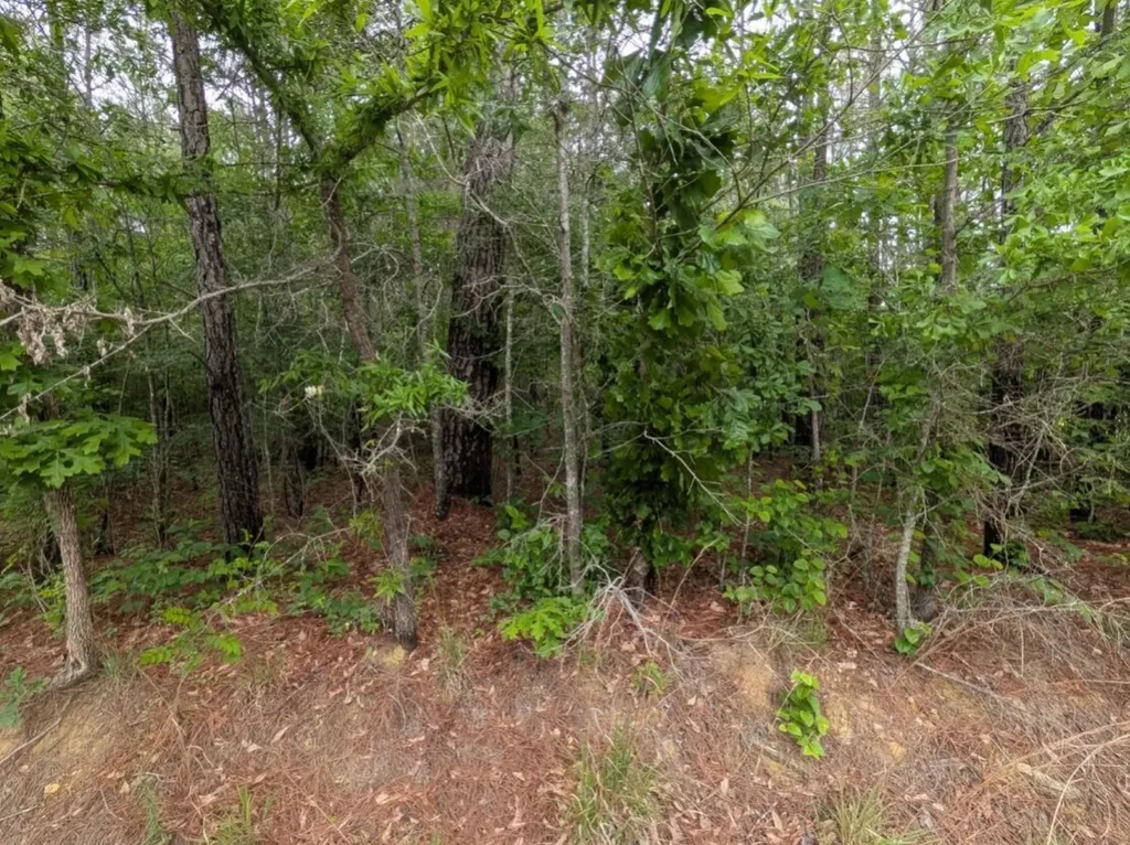 0 Pope Road Ohatchee AL 36271