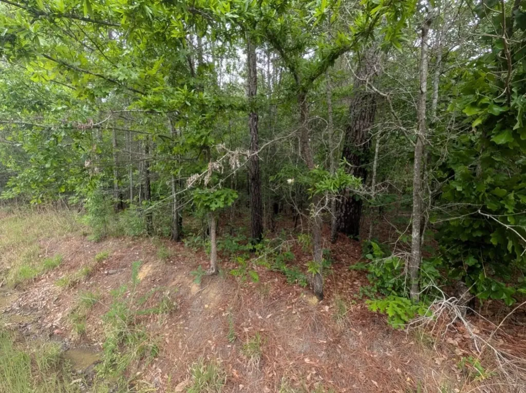 0 Pope Road Ohatchee AL 36271