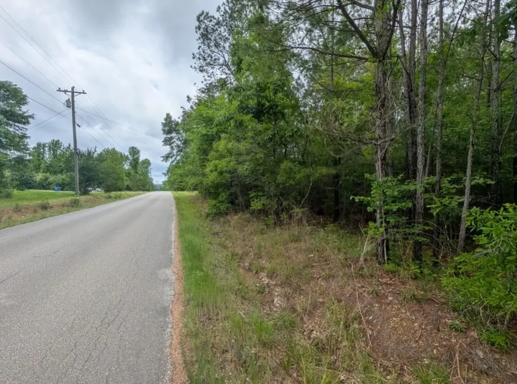 0 Pope Road Ohatchee AL 36271