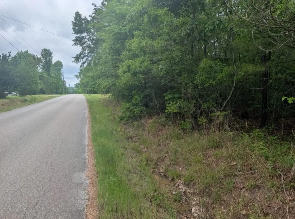 0 Pope Road Ohatchee AL 36271