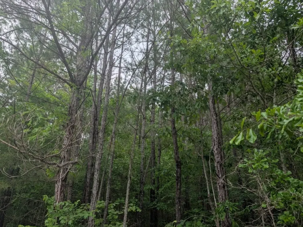 0 Pope Road Ohatchee AL 36271