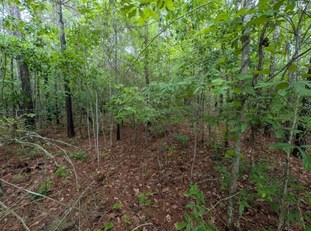 0 Pope Road Ohatchee AL 36271