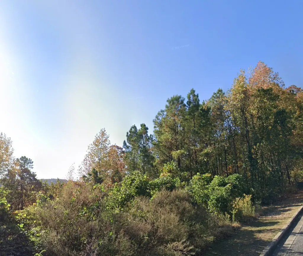 4449 Eagle Point Drive Birmingham AL 35242