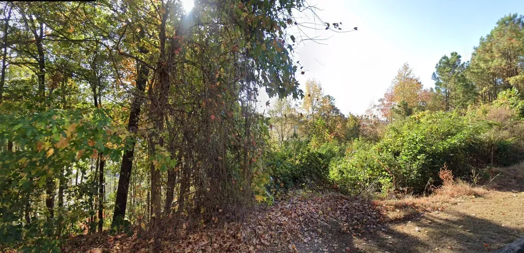 4449 Eagle Point Drive Birmingham AL 35242