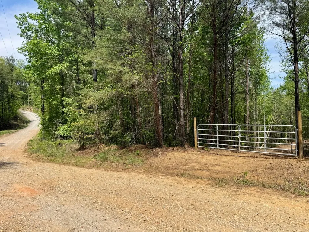 0 Co Road 3022 Double Springs AL 35553