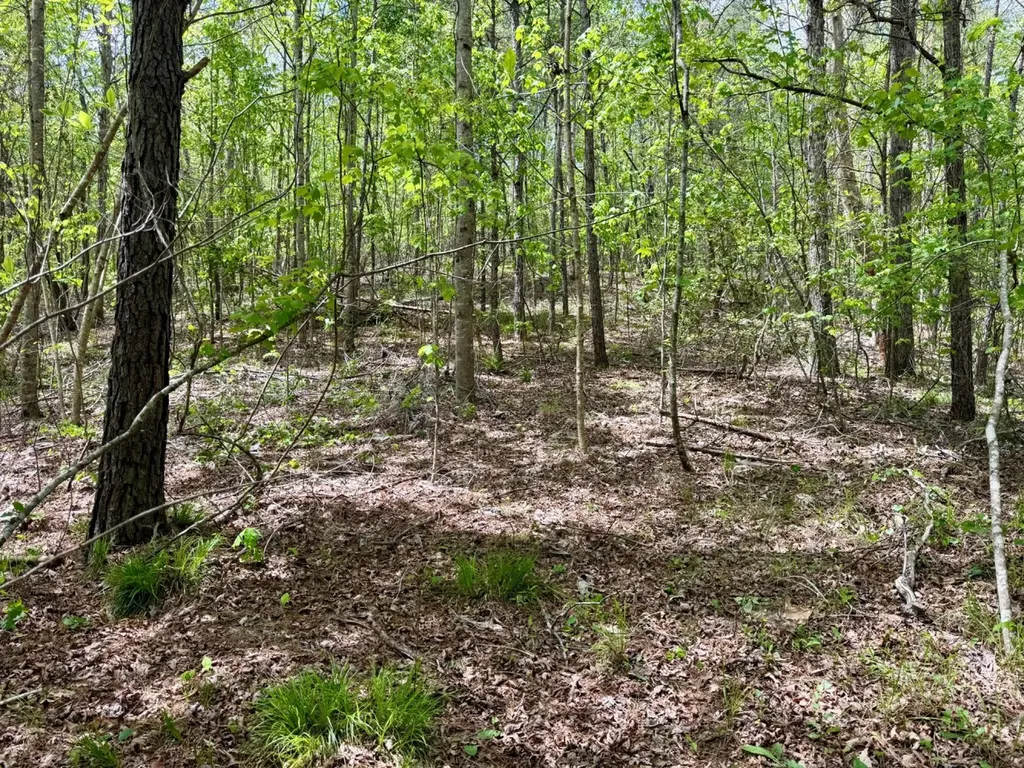 0 Co Road 3022 Double Springs AL 35553