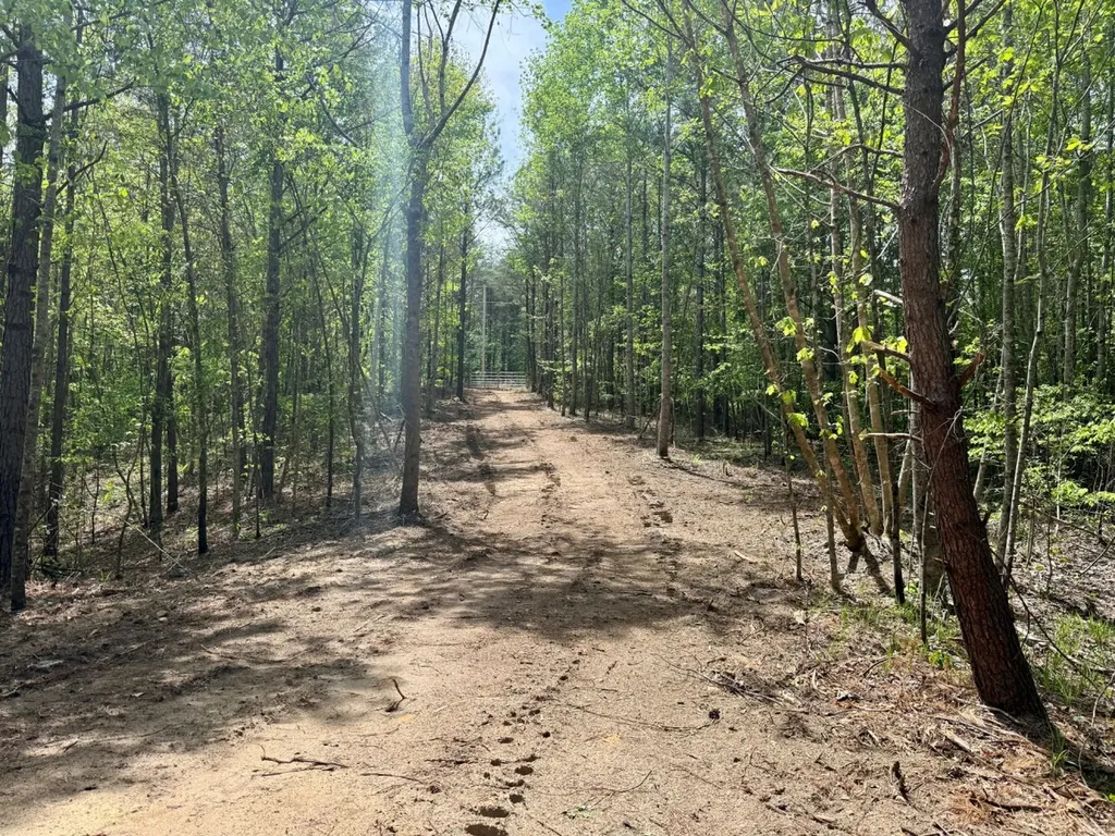 0 Co Road 3022 Double Springs AL 35553