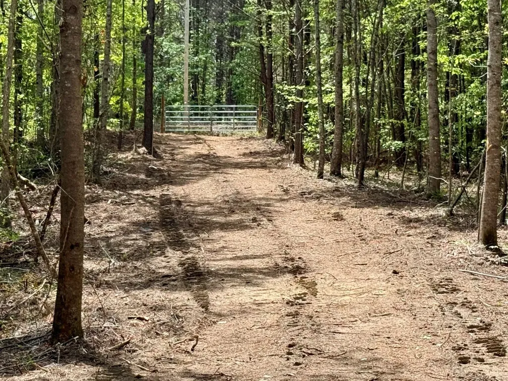 0 Co Road 3022 Double Springs AL 35553