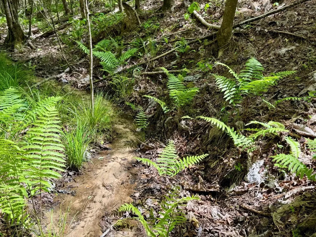 0 Co Road 3022 Double Springs AL 35553